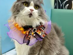 -烤匠麻辣烤鱼(IFS店)