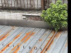 -素咫咖啡CLIFEROSE(新安店)