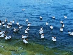 -青海湖二郎剑景区