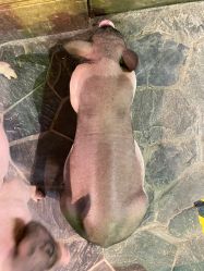 点击看大图 -Zoolung Zoolung动物主题公园(海信广场店)