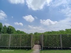 -东方绿舟景区