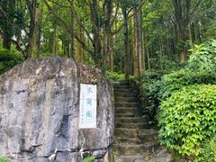 -深圳仙湖植物园