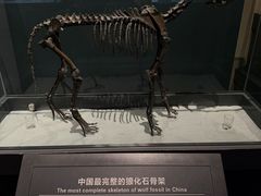 -大庆市博物馆