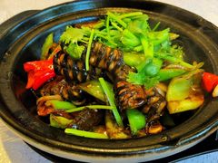 生啫黄鳝煲-粤秀小厨·广式早茶(辽宁路店)