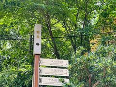 -龙华寺
