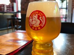 -Boxing Cat Brewery拳击猫精酿啤酒馆(永福店)