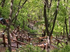 -大岭沟猕猴桃谷风景区
