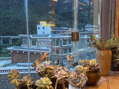 -四姑娘山阿巴郎·藏式花园餐厅