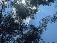 -黑龙江省森林植物园
