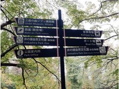 -井之头恩赐公园