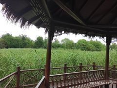 -梁鸿国家湿地公园