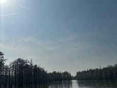 -池杉湖湿地公园