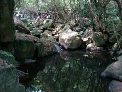 -清溪森林公园