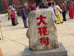 -大槐树寻根祭祖园