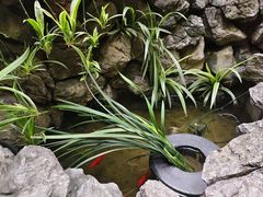 -南堂馆·新川菜(天府三街店)