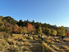 -塔川景区