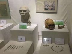 -广东中医药博物馆