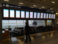 -达拉斯 沃斯堡国际机场