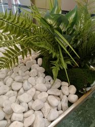 -铂诗玥医美