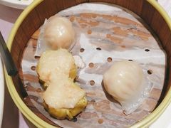 -宝燕壹号(徐汇店)
