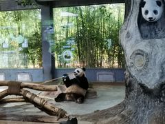-海南热带野生动植物园
