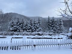 -横道河子东北虎林园