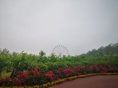 -云幽谷旅游区