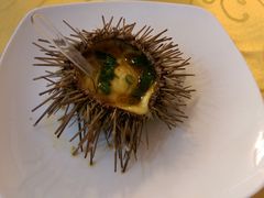 海胆蒸蛋-海岛渔村大酒店(云霄路店)