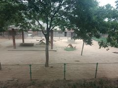 -石家庄市动物园