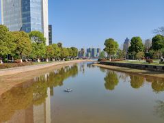 -金沙湖公园