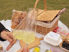 -栖露营camping·天幕烧烤·团建拓展·采摘营地