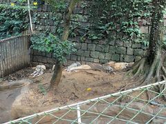 -杭州长乔极地海洋公园