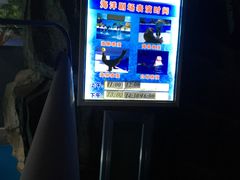 -泉城欧乐堡海洋极地世界