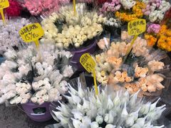 -循礼门鲜花花市(武汉循礼门店)