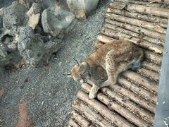 -昆明动物园