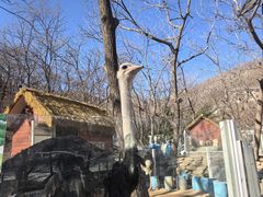 -丹东市五龙山风景区