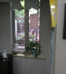 -新语丝专业美发沙龙