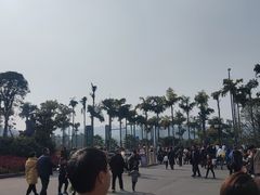 -枫香湖儿童公园