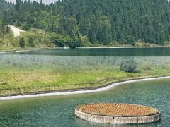 -武陵山森林公园