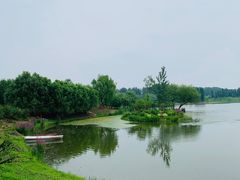 -东郊湿地公园