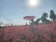 -花博汇(知音花月夜)