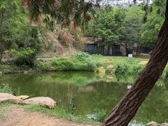 -大雁山风景区