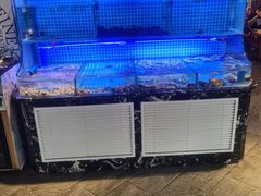 -義聚德·清真铜锅涮羊肉·烧烤(河东店)