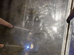 -印象江南(东栅店)