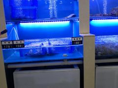 水产区-老虎滩大连海鲜烧烤(建邺云锦路总店)