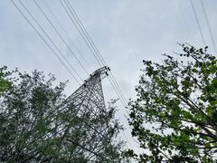 -永定河休闲森林公园