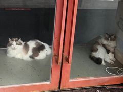 -白兔子密室(长寿路店)