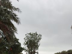 -青澳湾北回归线广场