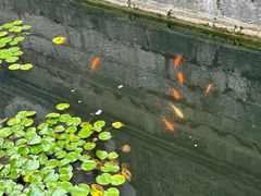 -上海方塔园