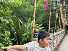 -西双版纳原始森林公园